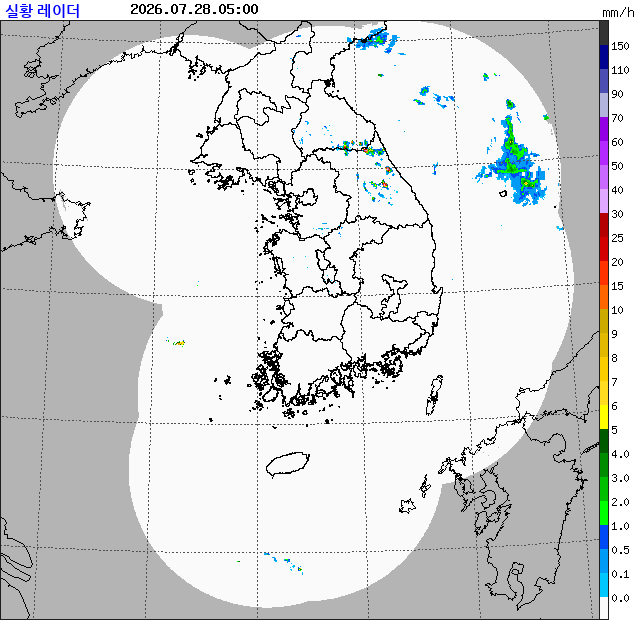 레이더