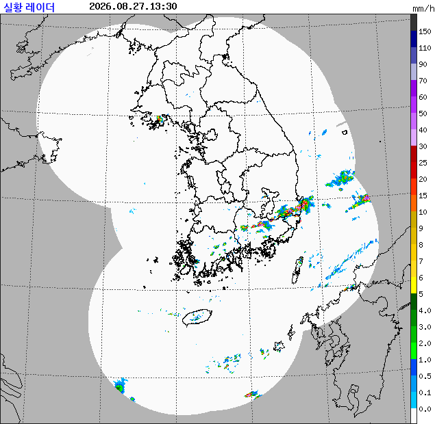 레이더