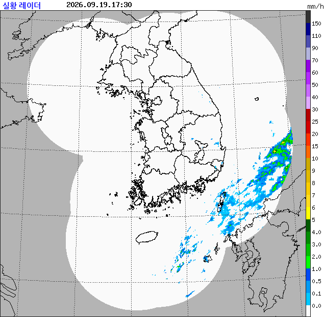 레이더