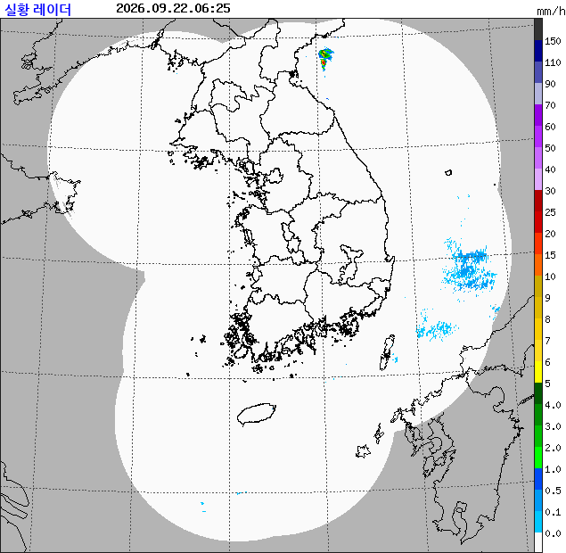 레이더
