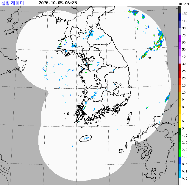 레이더